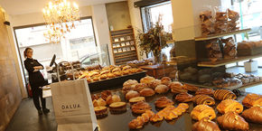 Programa online para tiendas y pasteleras Dalua - Elche, Alicante